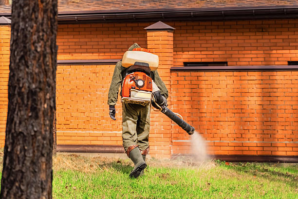 Bed Bug Clearance Verification and Documentation in San Fernando